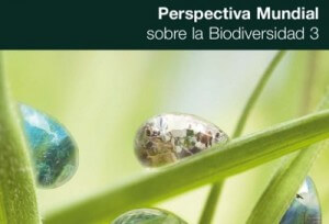 Informe de la ONU: Perspectiva Mundial sobre la Biodiversidad 3