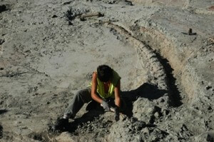 Excavando dinosaurios en Lo Hueco (Fuentes, Cuenca)