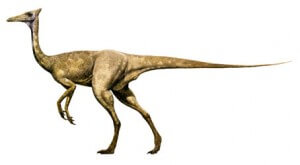 Pelecanimimus, un dinosaurio exclusivo de Las Hoyas (Cuenca)
