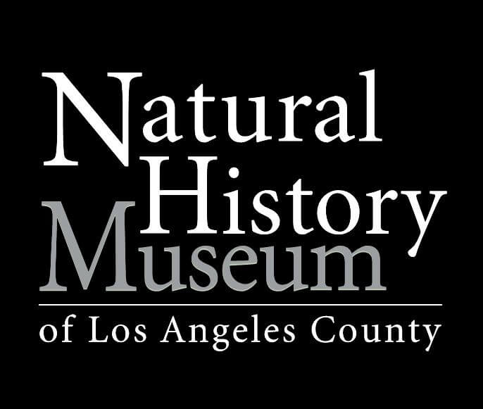 Museum of Los Angeles County