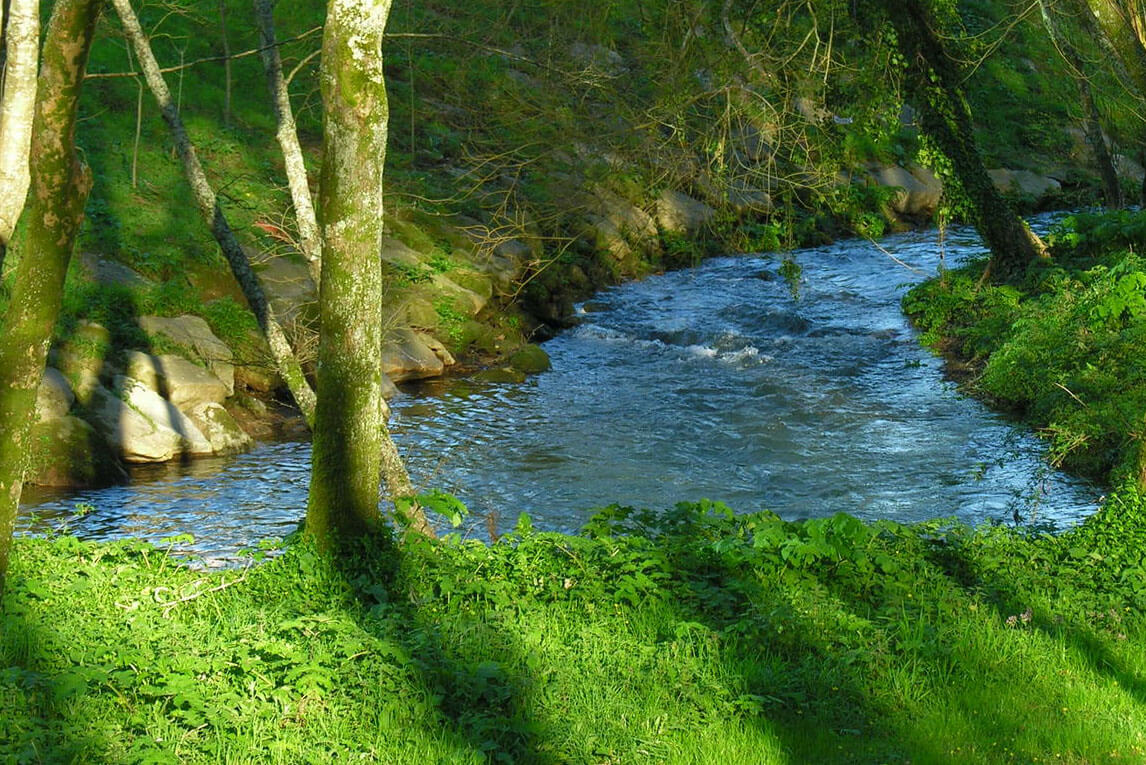 Río Sar (Galicia)