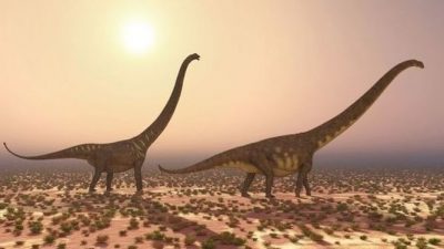 Un nuevo estudio científico rediseña el árbol genealógico de los dinosaurios