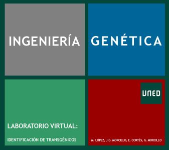 Laboratorio Virtual de Ingeniería Genética